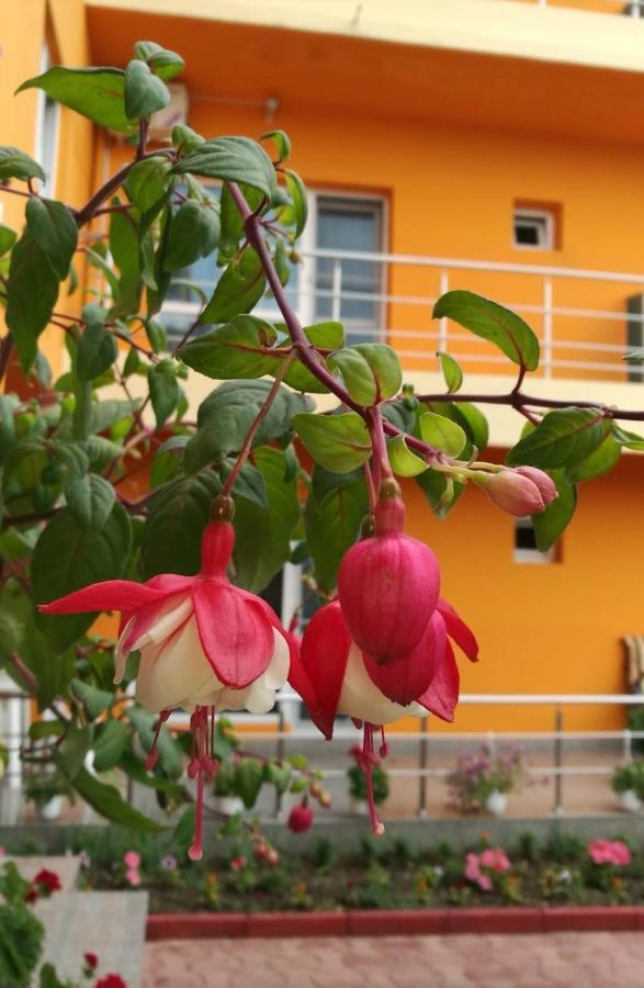 Vila Oranj Hotel Costinesti Bagian luar foto